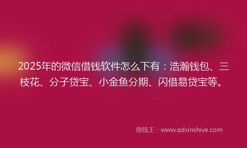 2025年的微信借钱软件怎么下有：浩瀚钱包、三枝花、分子贷宝、小金鱼分期、闪借易贷宝等。
