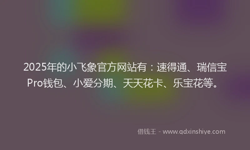 2025年的小飞象官方网站有：速得通、瑞信宝Pro钱包、小爱分期、天天花卡、乐宝花等。