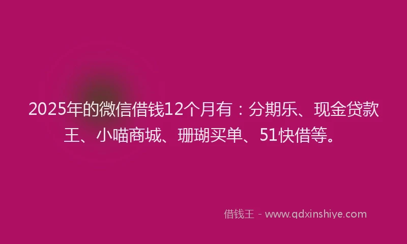 2025年的微信借钱12个月有：分期乐、现金贷款王、小喵商城、珊瑚买单、51快借等。