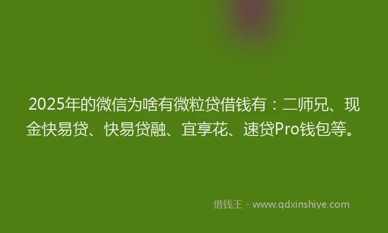 2025年的微信为啥有微粒贷借钱有：二师兄、现金快易贷、快易贷融、宜享花、速贷Pro钱包等。