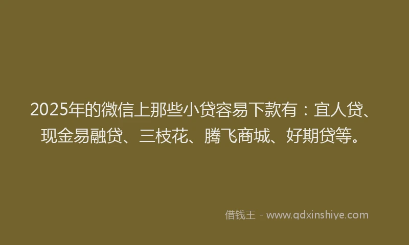 2025年的微信上那些小贷容易下款有：宜人贷、现金易融贷、三枝花、腾飞商城、好期贷等。