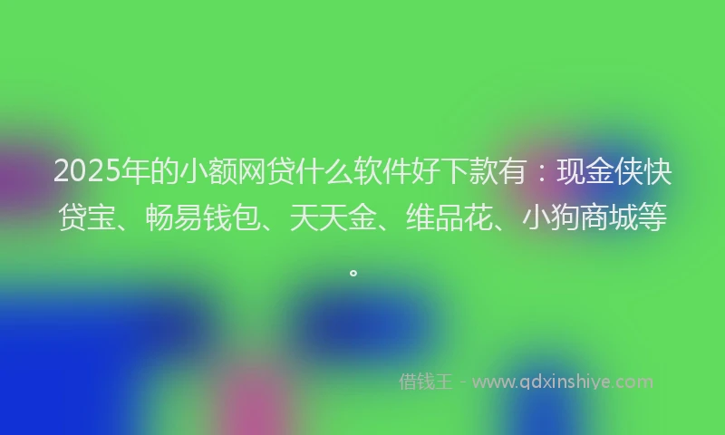 2025年的小额网贷什么软件好下款有：现金侠快贷宝、畅易钱包、天天金、维品花、小狗商城等。