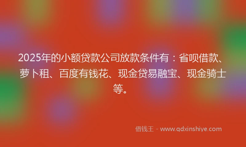 2025年的小额贷款公司放款条件有：省呗借款、萝卜租、百度有钱花、现金贷易融宝、现金骑士等。