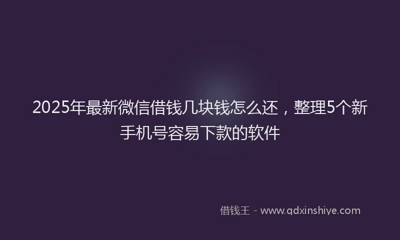 2025年最新微信借钱几块钱怎么还，整理5个新手机号容易下款的软件