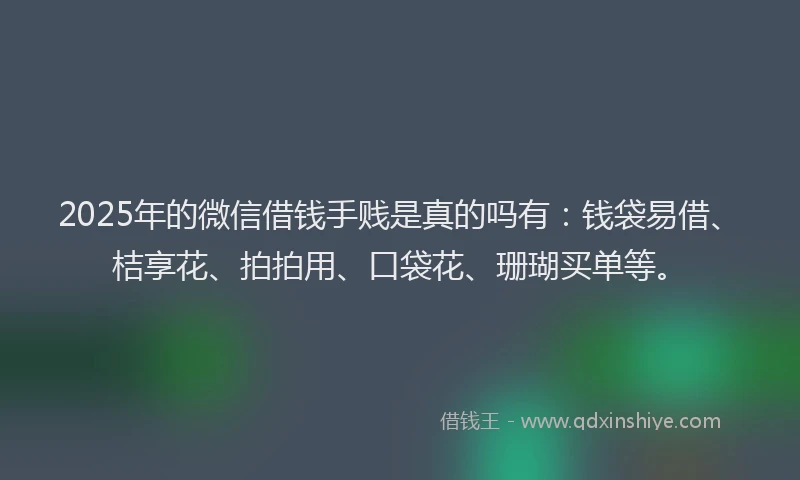 2025年的微信借钱手贱是真的吗有：钱袋易借、桔享花、拍拍用、口袋花、珊瑚买单等。