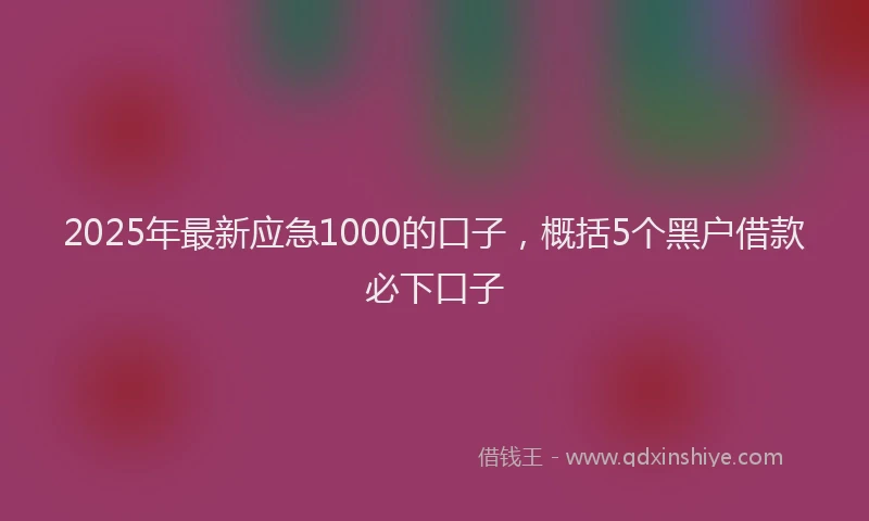 2025年最新应急1000的口子，概括5个黑户借款必下口子