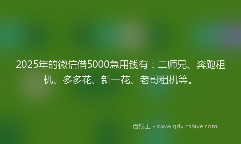 2025年的微信借5000急用钱有：二师兄、奔跑租机、多多花、新一花、老哥租机等。