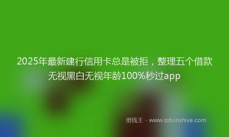2025年最新建行信用卡总是被拒，整理五个借款无视黑白无视年龄100%秒过app