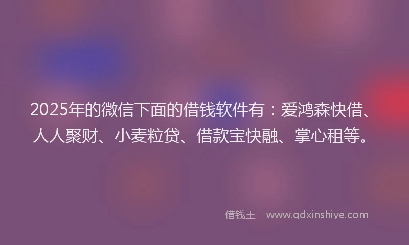 2025年的微信下面的借钱软件有：爱鸿森快借、人人聚财、小麦粒贷、借款宝快融、掌心租等。