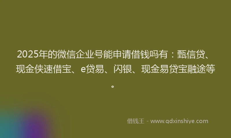 2025年的微信企业号能申请借钱吗有：甄信贷、现金侠速借宝、e贷易、闪银、现金易贷宝融途等。