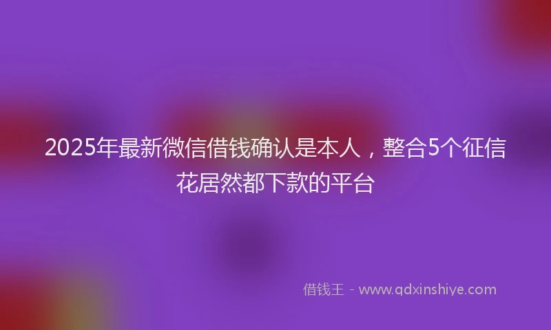 2025年最新微信借钱确认是本人，整合5个征信花居然都下款的平台