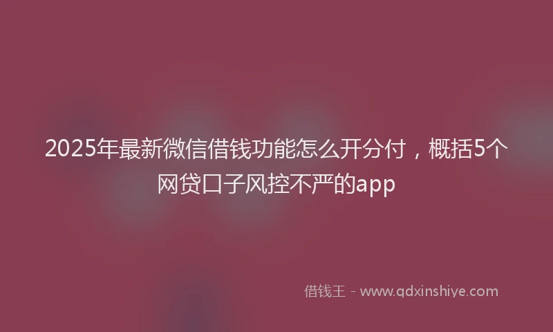 2025年最新微信借钱功能怎么开分付，概括5个网贷口子风控不严的app