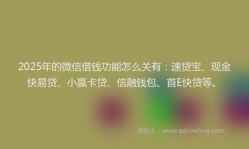 2025年的微信借钱功能怎么关有：速贷宝、现金快易贷、小赢卡贷、信融钱包、首E快贷等。