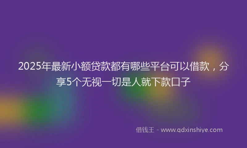 2025年最新小额贷款都有哪些平台可以借款，分享5个无视一切是人就下款口子