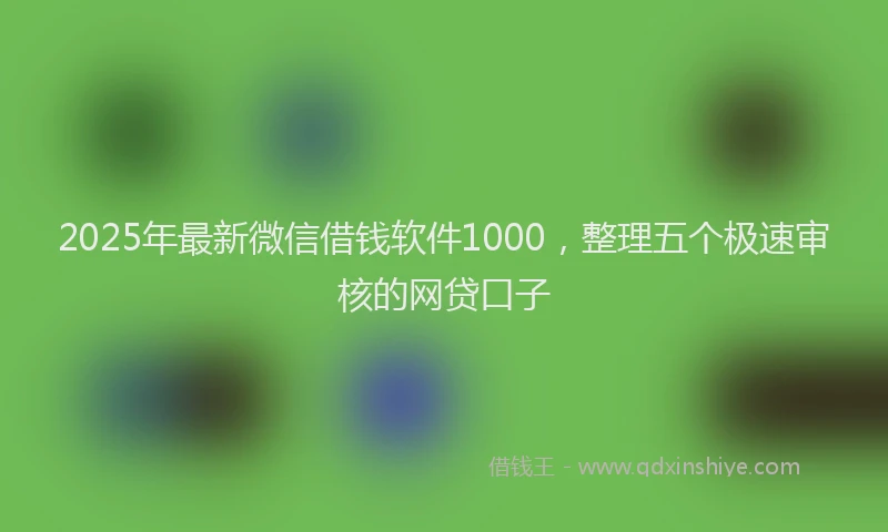 2025年最新微信借钱软件1000，整理五个极速审核的网贷口子