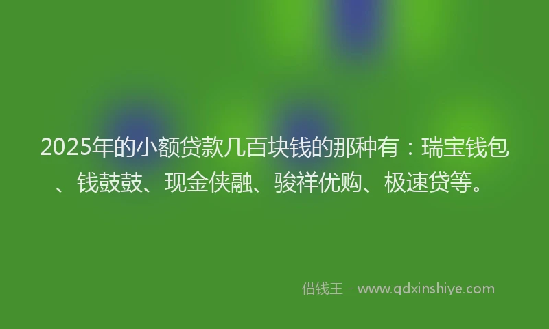 2025年的小额贷款几百块钱的那种有：瑞宝钱包、钱鼓鼓、现金侠融、骏祥优购、极速贷等。