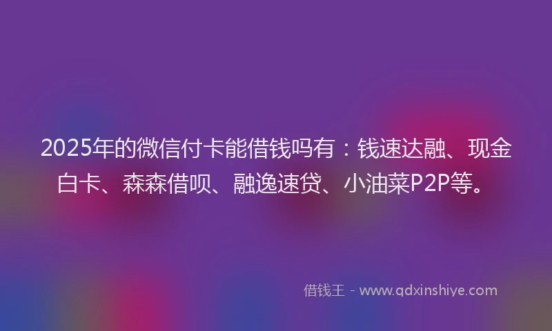 2025年的微信付卡能借钱吗有：钱速达融、现金白卡、森森借呗、融逸速贷、小油菜P2P等。