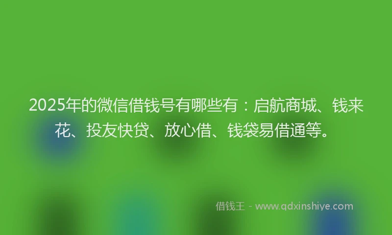 2025年的微信借钱号有哪些有：启航商城、钱来花、投友快贷、放心借、钱袋易借通等。