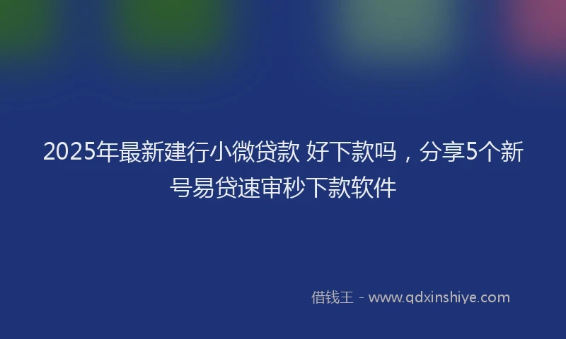 2025年最新建行小微贷款 好下款吗，分享5个新号易贷速审秒下款软件