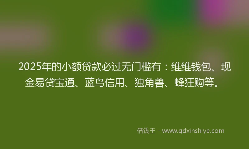 2025年的小额贷款必过无门槛有：维维钱包、现金易贷宝通、蓝鸟信用、独角兽、蜂狂购等。