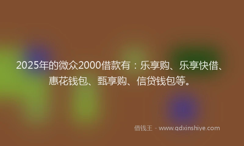 2025年的微众2000借款有：乐享购、乐享快借、惠花钱包、甄享购、信贷钱包等。