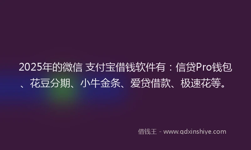 2025年的微信 支付宝借钱软件有：信贷Pro钱包、花豆分期、小牛金条、爱贷借款、极速花等。