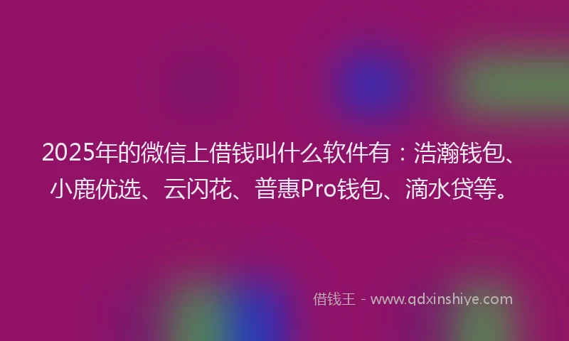 2025年的微信上借钱叫什么软件有：浩瀚钱包、小鹿优选、云闪花、普惠Pro钱包、滴水贷等。