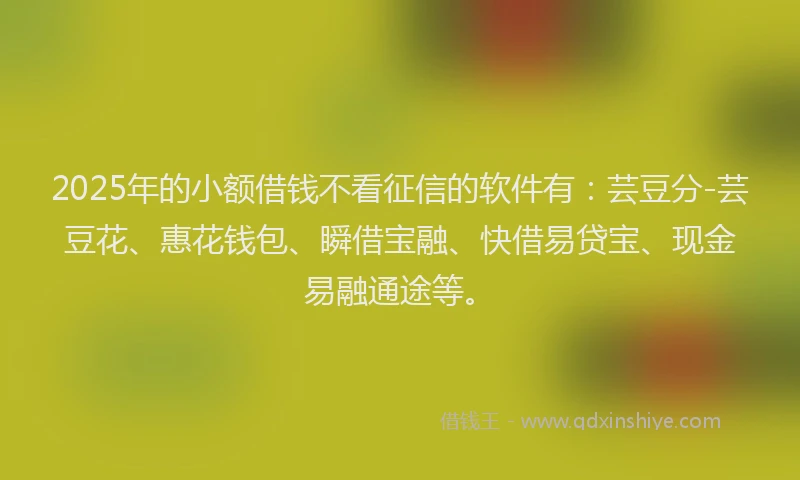 2025年的小额借钱不看征信的软件有：芸豆分-芸豆花、惠花钱包、瞬借宝融、快借易贷宝、现金易融通途等。