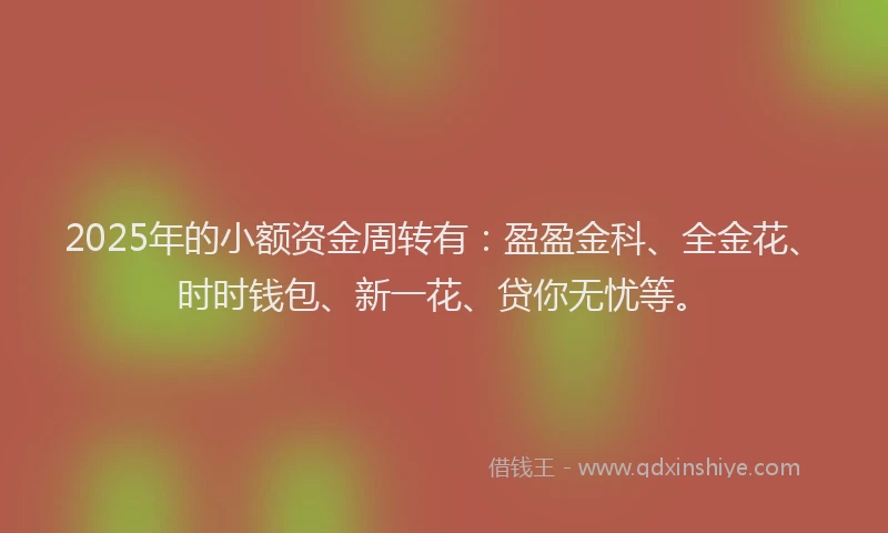 2025年的小额资金周转有：盈盈金科、全金花、时时钱包、新一花、贷你无忧等。