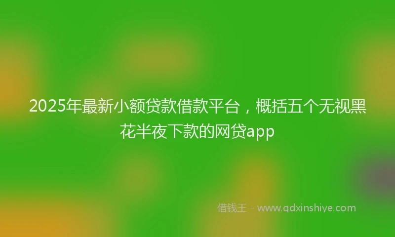 2025年最新小额贷款借款平台，概括五个无视黑花半夜下款的网贷app