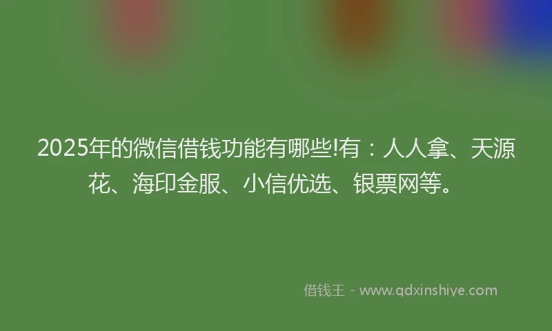 2025年的微信借钱功能有哪些!有：人人拿、天源花、海印金服、小信优选、银票网等。