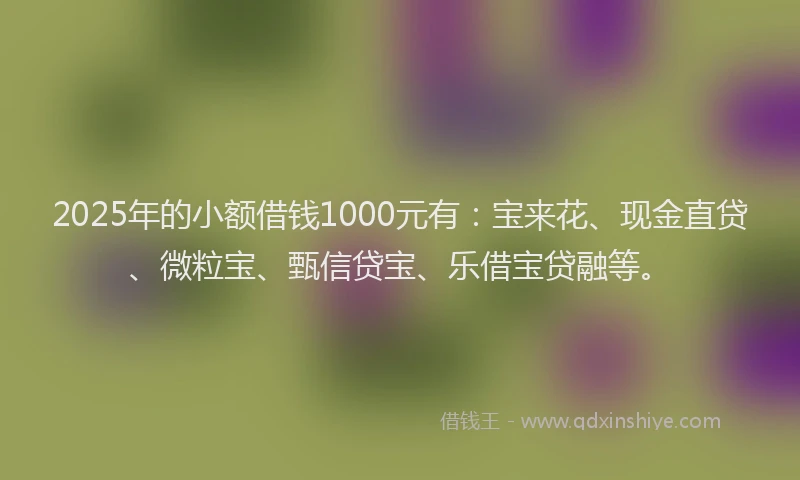 2025年的小额借钱1000元有：宝来花、现金直贷、微粒宝、甄信贷宝、乐借宝贷融等。