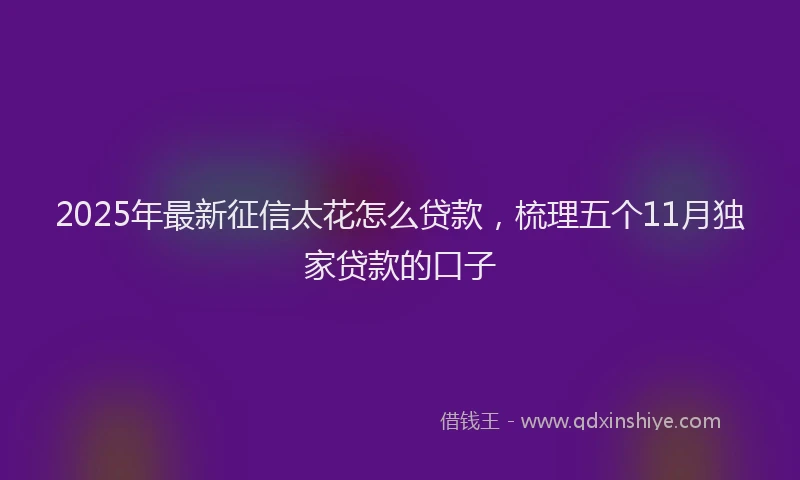 2025年最新征信太花怎么贷款，梳理五个11月独家贷款的口子