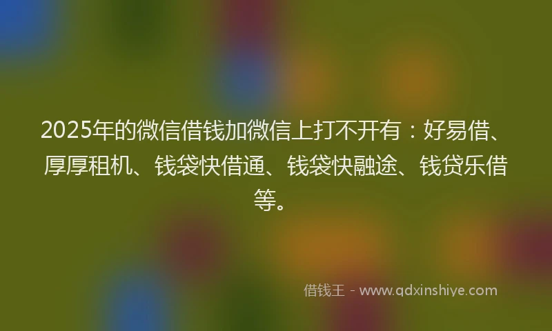 2025年的微信借钱加微信上打不开有：好易借、厚厚租机、钱袋快借通、钱袋快融途、钱贷乐借等。