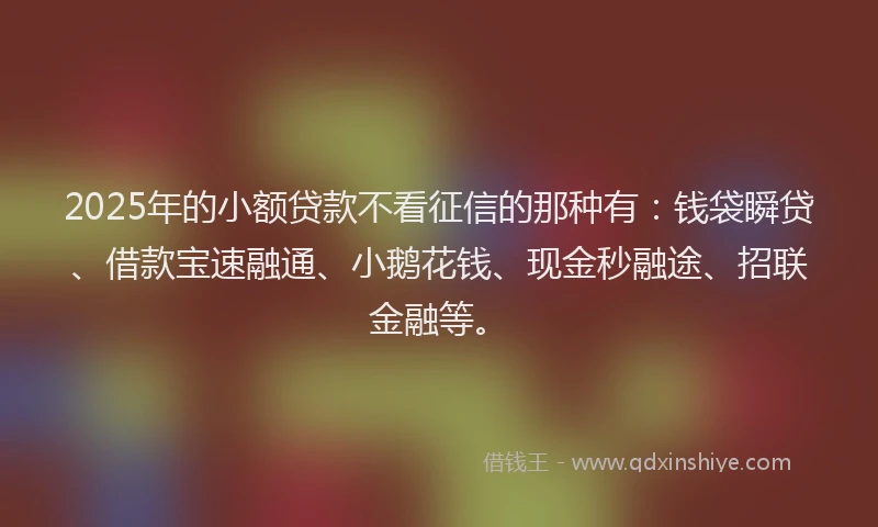 2025年的小额贷款不看征信的那种有：钱袋瞬贷、借款宝速融通、小鹅花钱、现金秒融途、招联金融等。
