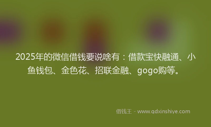 2025年的微信借钱要说啥有：借款宝快融通、小鱼钱包、金色花、招联金融、gogo购等。