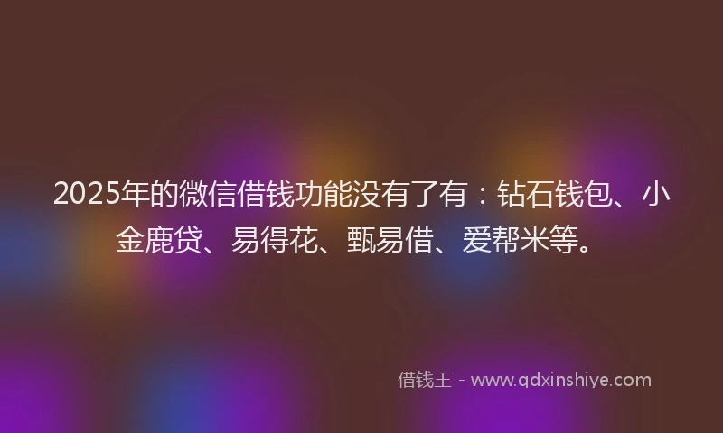 2025年的微信借钱功能没有了有：钻石钱包、小金鹿贷、易得花、甄易借、爱帮米等。