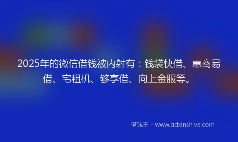 2025年的微信借钱被内射有：钱袋快借、惠商易借、宅租机、够享借、向上金服等。