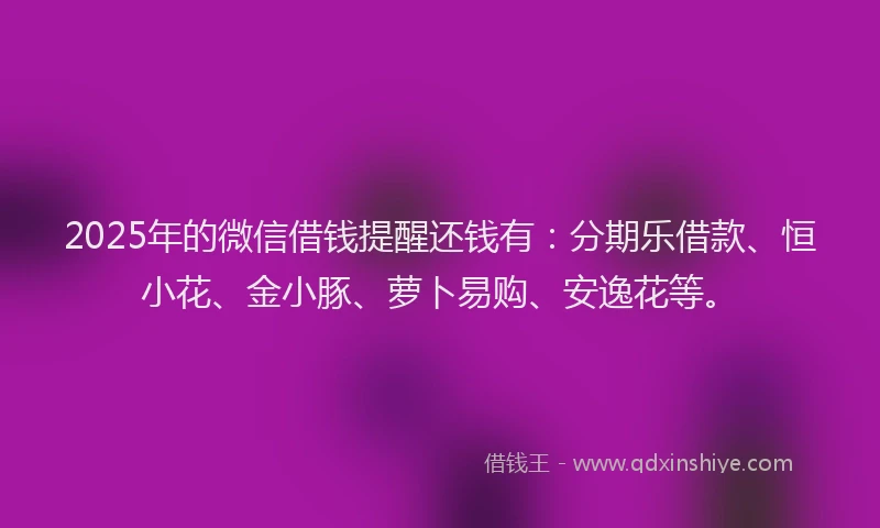 2025年的微信借钱提醒还钱有：分期乐借款、恒小花、金小豚、萝卜易购、安逸花等。