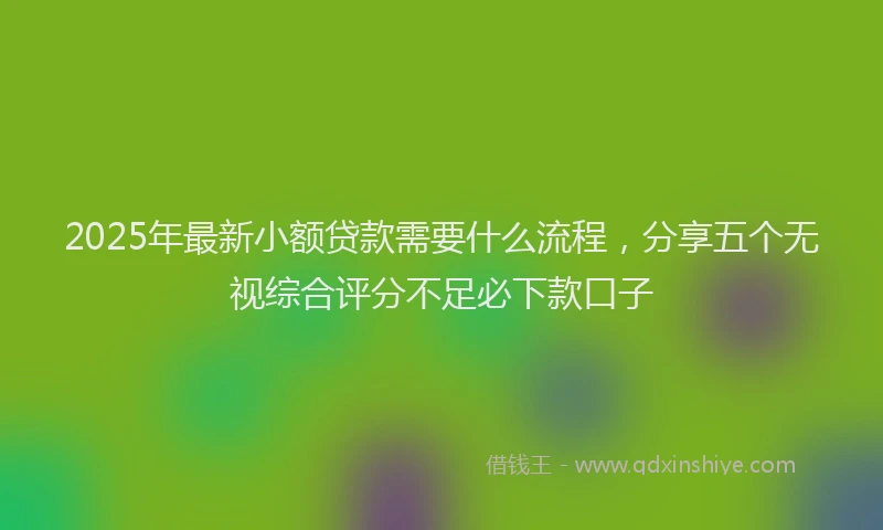 2025年最新小额贷款需要什么流程，分享五个无视综合评分不足必下款口子