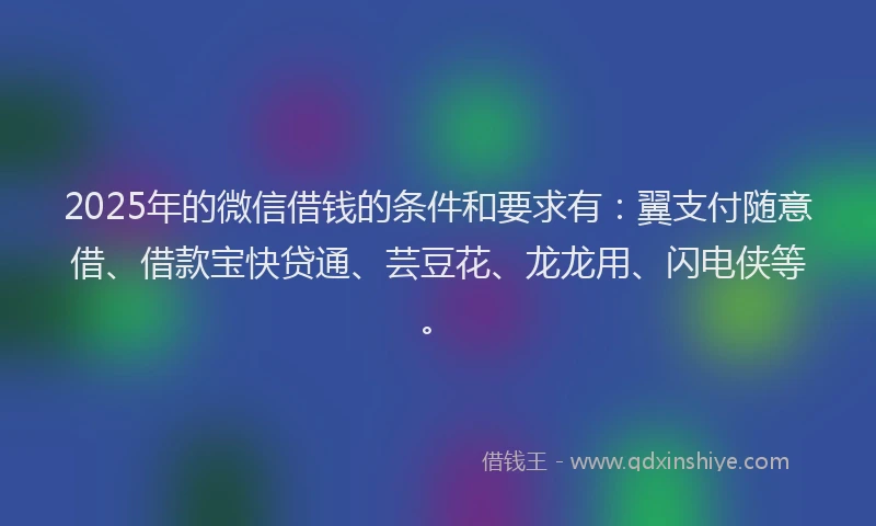 2025年的微信借钱的条件和要求有：翼支付随意借、借款宝快贷通、芸豆花、龙龙用、闪电侠等。