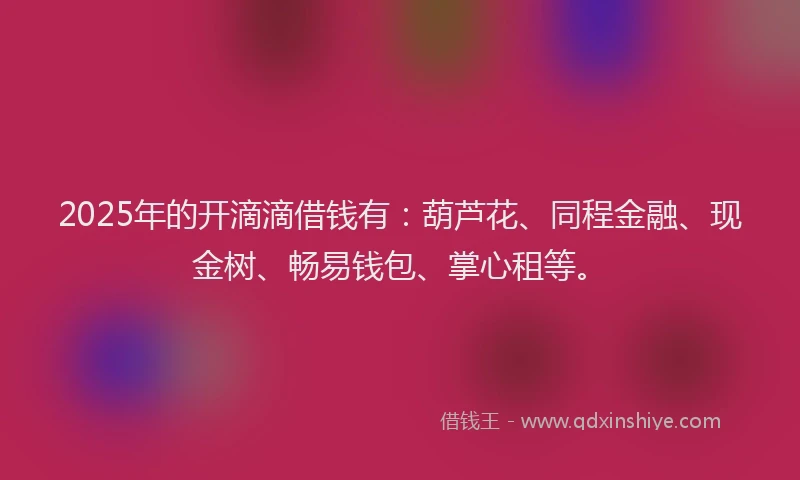 2025年的开滴滴借钱有:葫芦花、同程金融、现金树、畅易钱包、掌心租等。