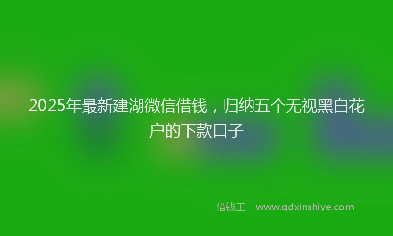 2025年最新建湖微信借钱，归纳五个无视黑白花户的下款口子