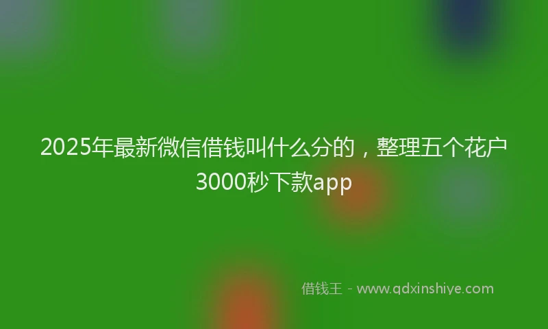 2025年最新微信借钱叫什么分的，整理五个花户3000秒下款app