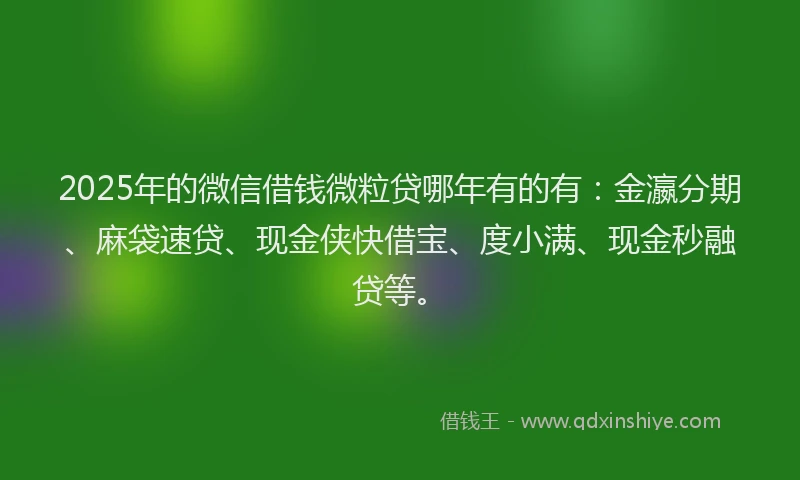 2025年的微信借钱微粒贷哪年有的有：金瀛分期、麻袋速贷、现金侠快借宝、度小满、现金秒融贷等。