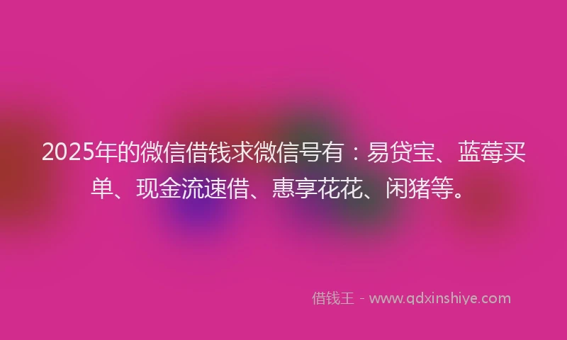 2025年的微信借钱求微信号有：易贷宝、蓝莓买单、现金流速借、惠享花花、闲猪等。