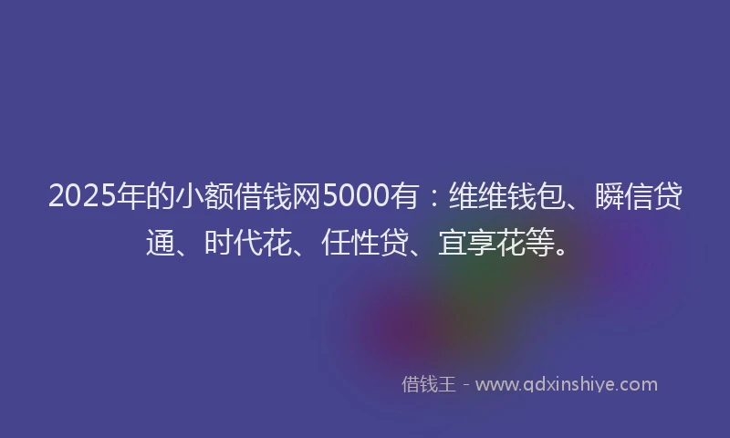 2025年的小额借钱网5000有：维维钱包、瞬信贷通、时代花、任性贷、宜享花等。