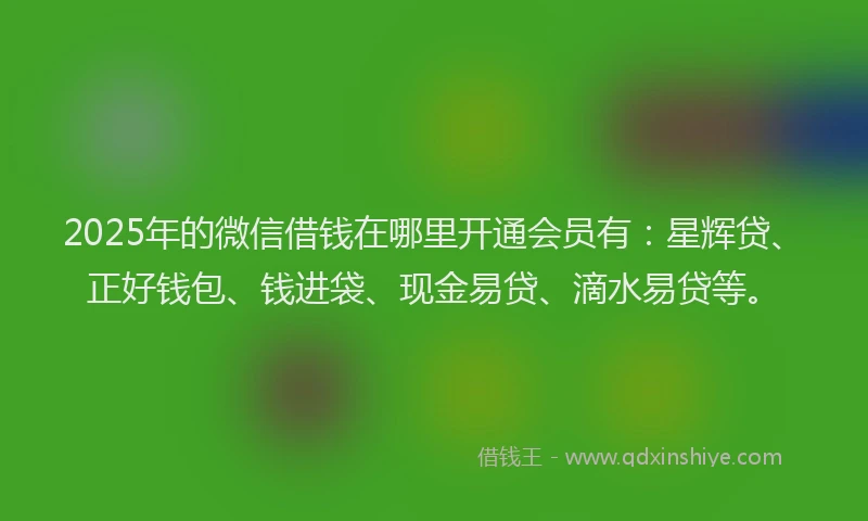 2025年的微信借钱在哪里开通会员有：星辉贷、正好钱包、钱进袋、现金易贷、滴水易贷等。