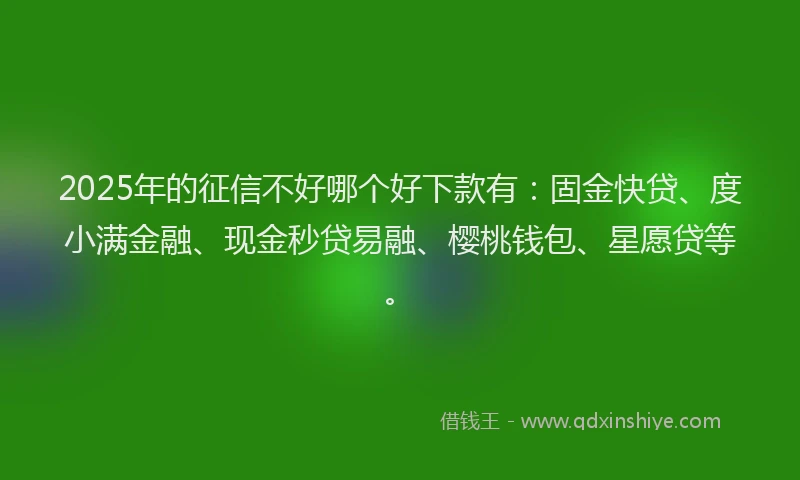 2025年的征信不好哪个好下款有：固金快贷、度小满金融、现金秒贷易融、樱桃钱包、星愿贷等。