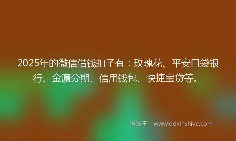 2025年的微信借钱扣子有：玫瑰花、平安口袋银行、金瀛分期、信用钱包、快捷宝贷等。